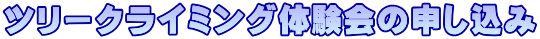 ���̑�